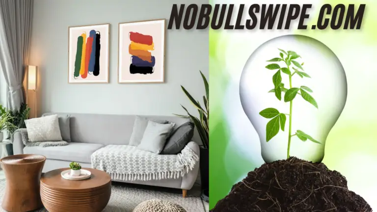 Nobullswipe.com transforming Spaces of Minimalist Home Decor Ideas with a Sustainable Twist