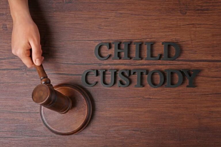 Child Custody Cases