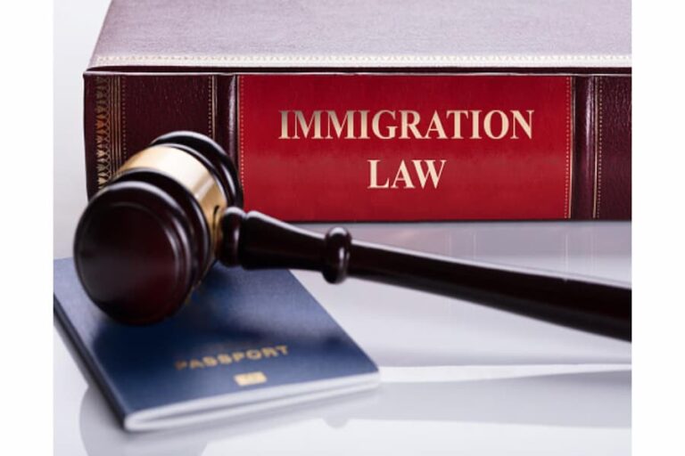 Immigration Laws